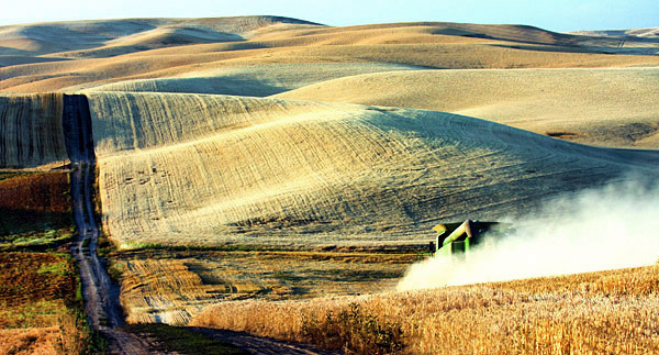 Palouse agricultural image, Idaho and Washington