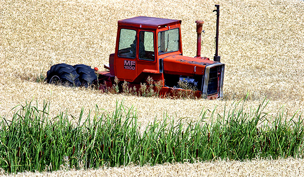 Palouse agricultural image, Idaho and Washington