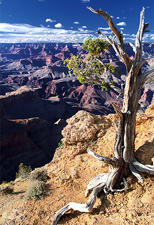 Photo tour images from Grand Canyon National Park in Arizona