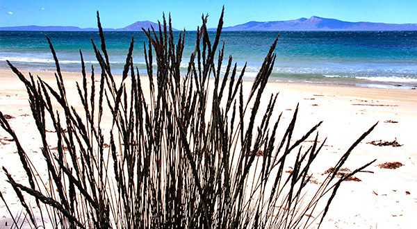 Photo tours of Tasmania, Australia
