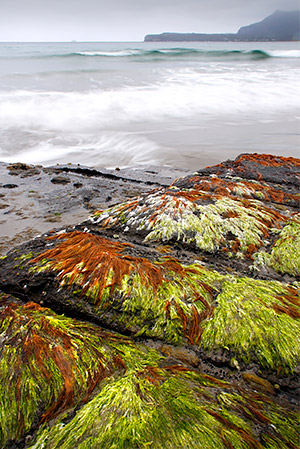 Photo tours of Tasmania, Australia