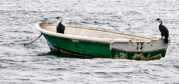Photo tours of Tasmania, Australia