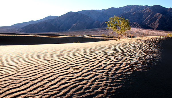 California's Death Valley and Eastern Sierra-Nevada Photo Tour image