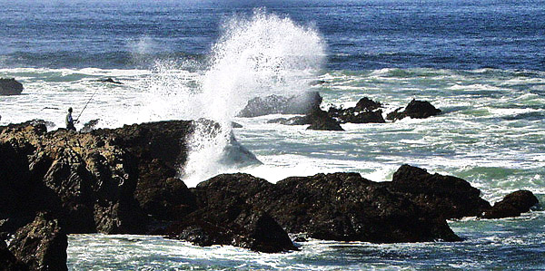 California's Mendocino Coast photography tour image