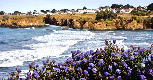 Photo tour image of California's central coast