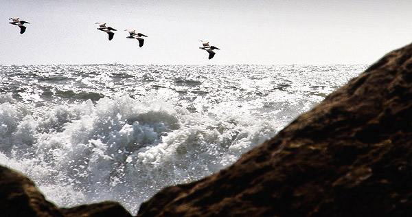 California's Mendocino Coast photography tour image
