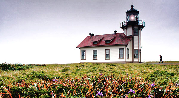 California's Mendocino Coast photography tour image