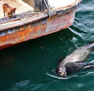 Photo tour image of California's central coast