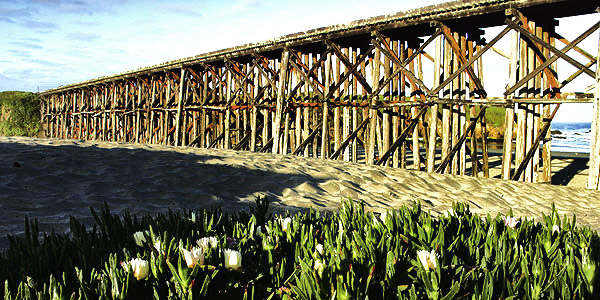 California's Mendocino Coast photography tour image