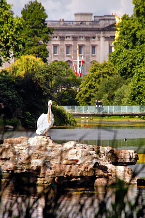 European castle photo, image