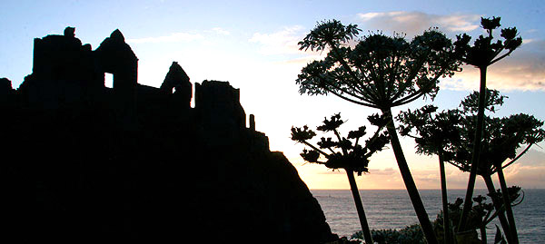 European castle photo, image