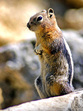 Photo tours of the Colorado Rockies