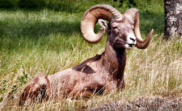 Photo tours of the Colorado Rockies