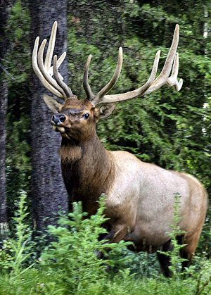 Photo tours of the Colorado Rockies