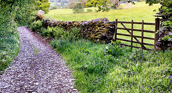 Photo library, stock image of England, UK