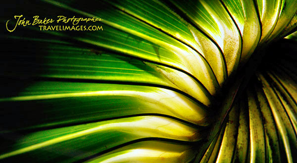 Photo tour images from a Florida wildlife tour