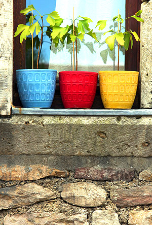 Burgundy photo, Bourgogne, France