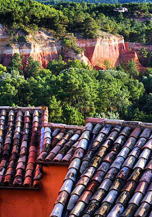 Provence lavender season image, France, on a photography tour