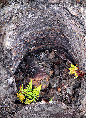 Hawaii's Big Island photo tour image