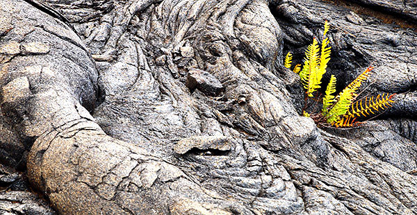 Hawaii's Big Island photo tour image