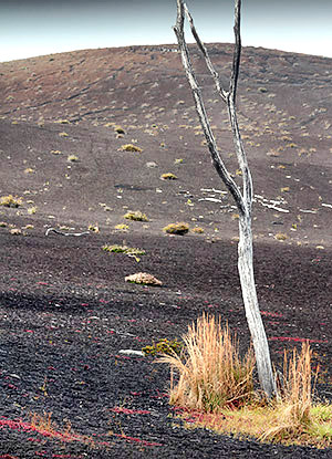 Hawaii's Big Island photo tour image
