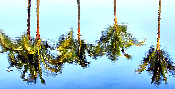 Hawaii's Big Island photo tour image