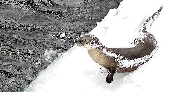 Ice and snow photos
