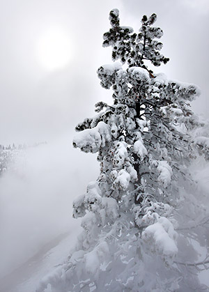 Ice and snow photos