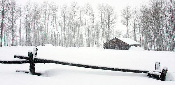 Ice and snow photos