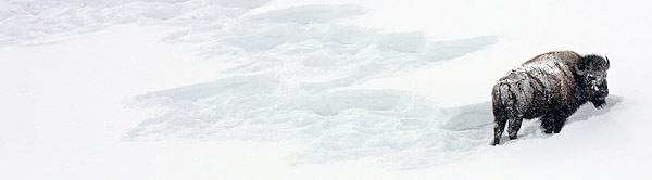 Ice and snow photos