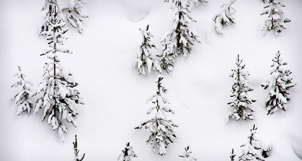 Ice and snow photos