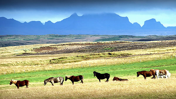 Iceland photo tour image