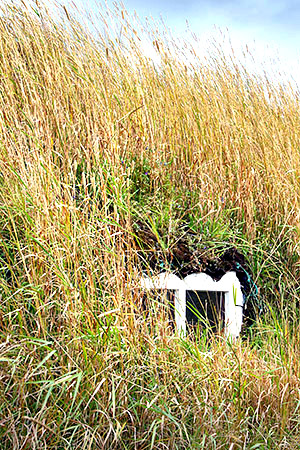 Iceland photo tour image