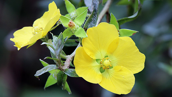 Photo tour image of the Iguazu Falls on the Argentina-Brazil border