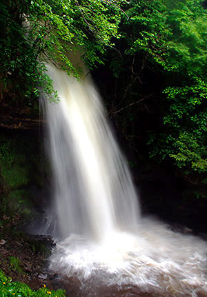 Photo of Ireland, the Emerald Isle
