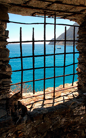 Photo from a Cinque Terre photo tour, Italy