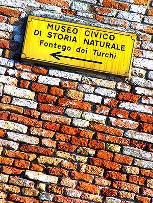 Photo tour image in Venice, Italy