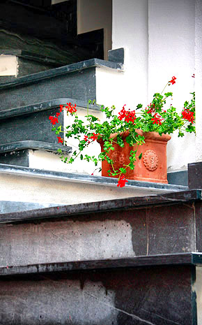 Photo from a Cinque Terre photo tour, Italy