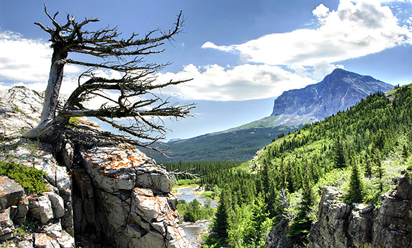 Photo library image from Glacier National Park in Montana