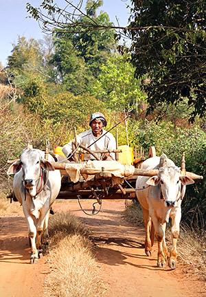 Photo of the Myanmar faces and places