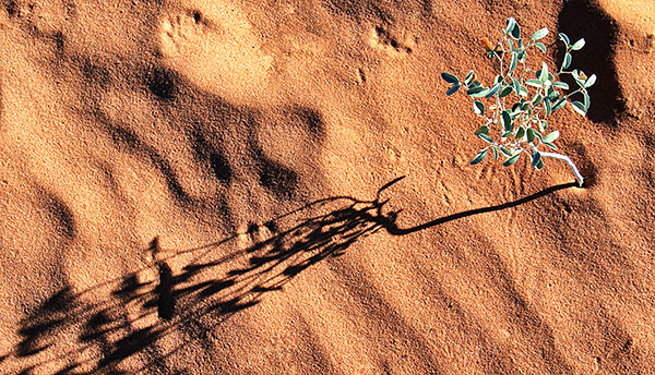 Stock library images of the the Valley of Fire State Park, Nevada