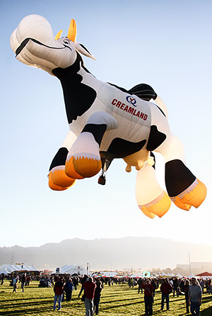 Albuquerque balloon fiesta image