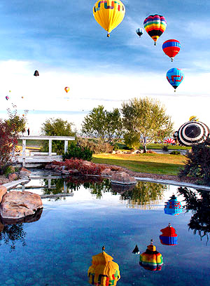 Albuquerque balloon fiesta image