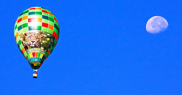 Albuquerque balloon fiesta image