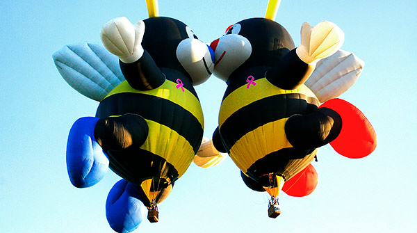 Albuquerque balloon fiesta image