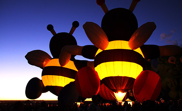 Albuquerque balloon fiesta image