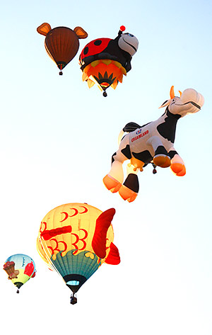Albuquerque balloon fiesta image