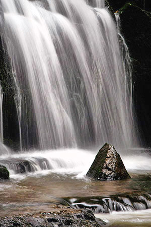 South Island, New Zealand photo tour image