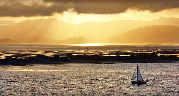 South Island, New Zealand photo tour image