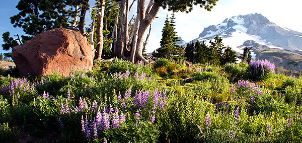 Pacific Northwest photo, Oregon and Washington, USA